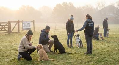 Inside The Dog Alliance’s January Training Expansion: The Insider Guide to Austin’s Newest Community‑Driven Dog Education Hub